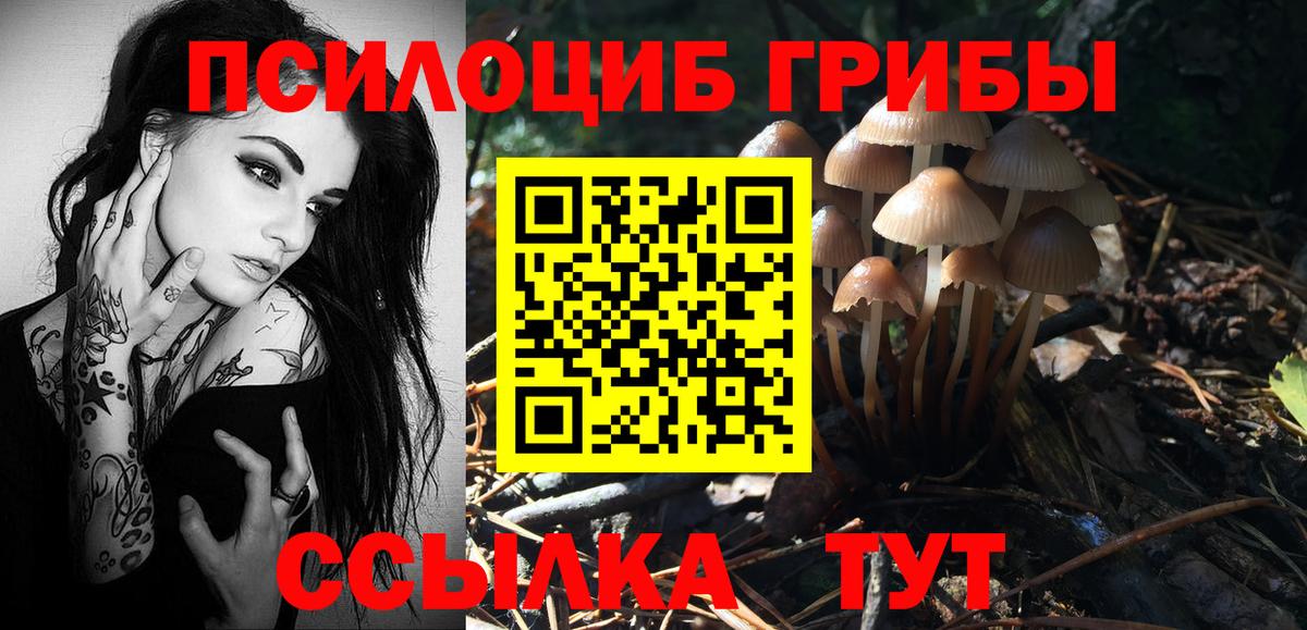 Галлюциногенные грибы мицелий Южноуральск