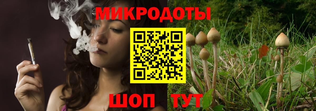 как найти закладки  Вход с VPN  Южноуральск  Псилоцибиновые грибы прущие грибы  Галлюциногенные грибы ЛСД 